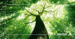 زیراکس دوستدار طبیعت