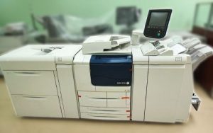 xerox d95