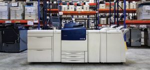 استوک امریکا